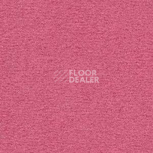 Ковролин Radici Nexus Pink 8261 фото 1 | FLOORDEALER